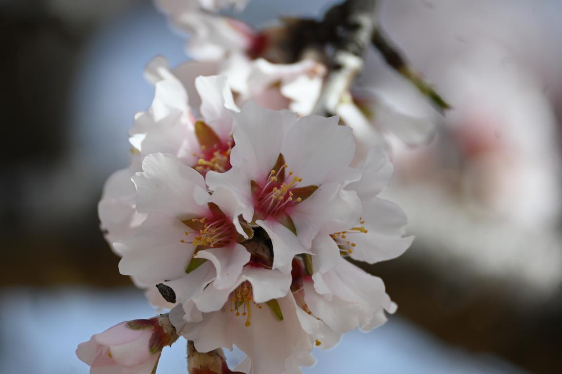 Klicke auf die Grafik für eine vergrößerte Ansicht

Name: DSC_8977.jpg
Ansichten: 64
Größe: 90,0 KB
ID: 3352583