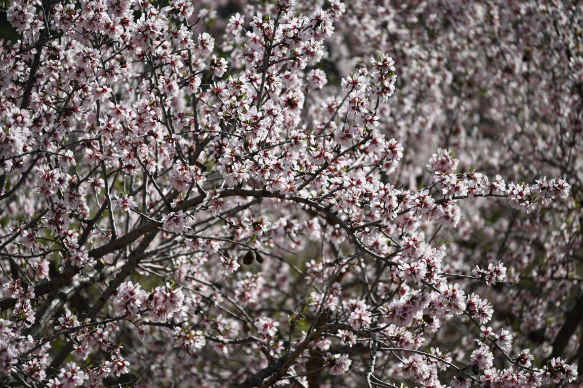 Klicke auf die Grafik für eine vergrößerte Ansicht

Name: DSC_8975.jpg
Ansichten: 63
Größe: 356,9 KB
ID: 3352584