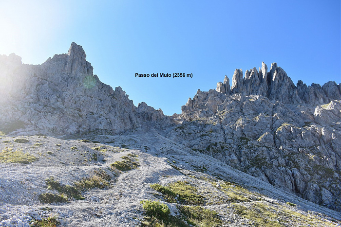 Klicke auf die Grafik für eine vergrößerte Ansicht

Name: DSC_0860.jpg
Ansichten: 241
Größe: 938,7 KB
ID: 3352636