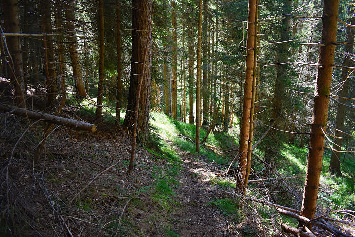 Klicke auf die Grafik für eine vergrößerte Ansicht

Name: DSC_0879.jpg
Ansichten: 245
Größe: 1,20 MB
ID: 3352643