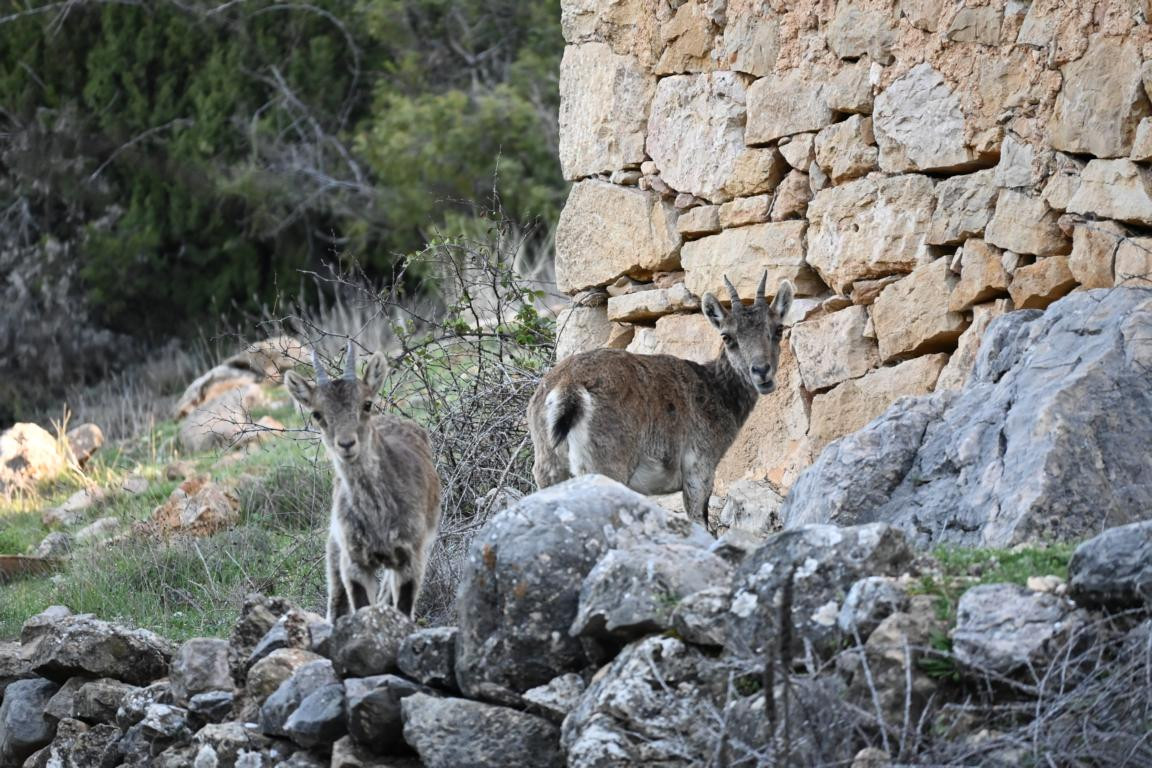 Klicke auf die Grafik für eine vergrößerte Ansicht

Name: DSC_9520.jpg
Ansichten: 48
Größe: 288,0 KB
ID: 3352689