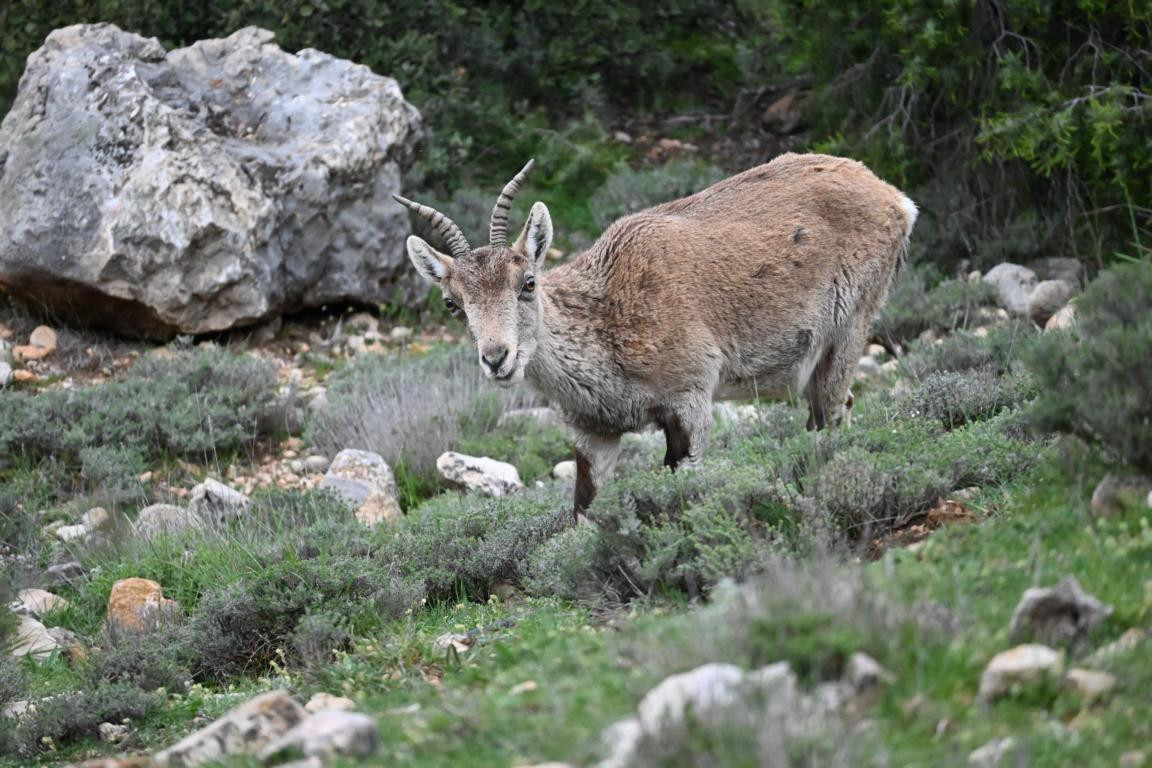 Klicke auf die Grafik für eine vergrößerte Ansicht

Name: DSC_9651.jpg
Ansichten: 48
Größe: 250,2 KB
ID: 3352690