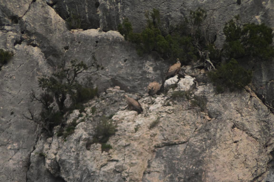 Klicke auf die Grafik für eine vergrößerte Ansicht

Name: DSC_9554.jpg
Ansichten: 48
Größe: 201,4 KB
ID: 3352691