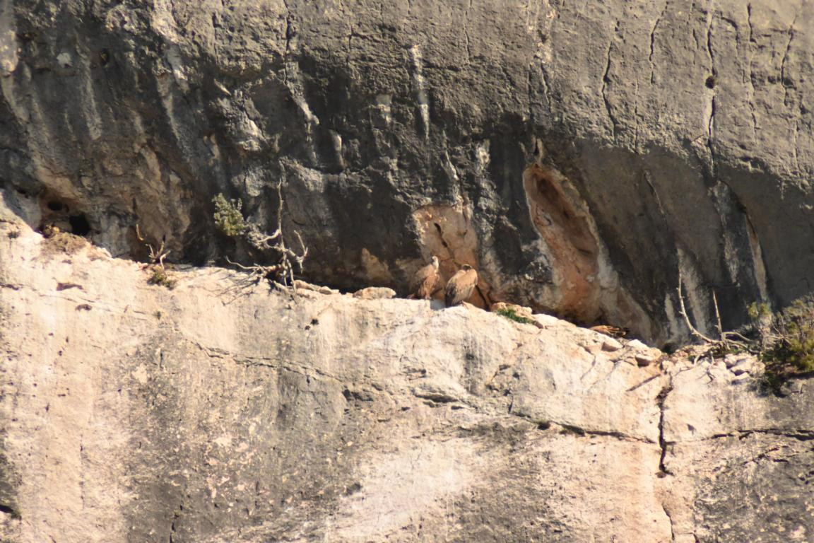 Klicke auf die Grafik für eine vergrößerte Ansicht

Name: DSC_9587.jpg
Ansichten: 48
Größe: 281,8 KB
ID: 3352693