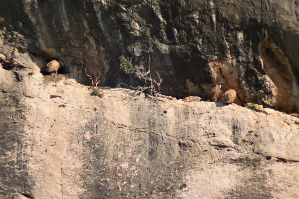 Klicke auf die Grafik für eine vergrößerte Ansicht

Name: DSC_9604.jpg
Ansichten: 48
Größe: 255,5 KB
ID: 3352694