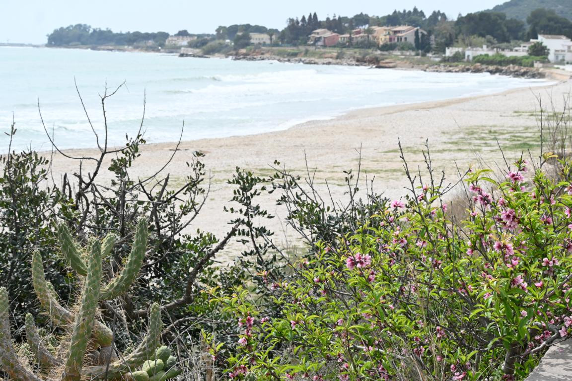 Klicke auf die Grafik für eine vergrößerte Ansicht

Name: DSC_9687.jpg
Ansichten: 48
Größe: 344,3 KB
ID: 3352699