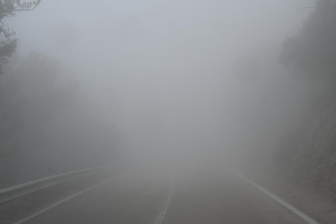 Klicke auf die Grafik für eine vergrößerte Ansicht

Name: DSC_1232.jpg
Ansichten: 48
Größe: 37,5 KB
ID: 3352702