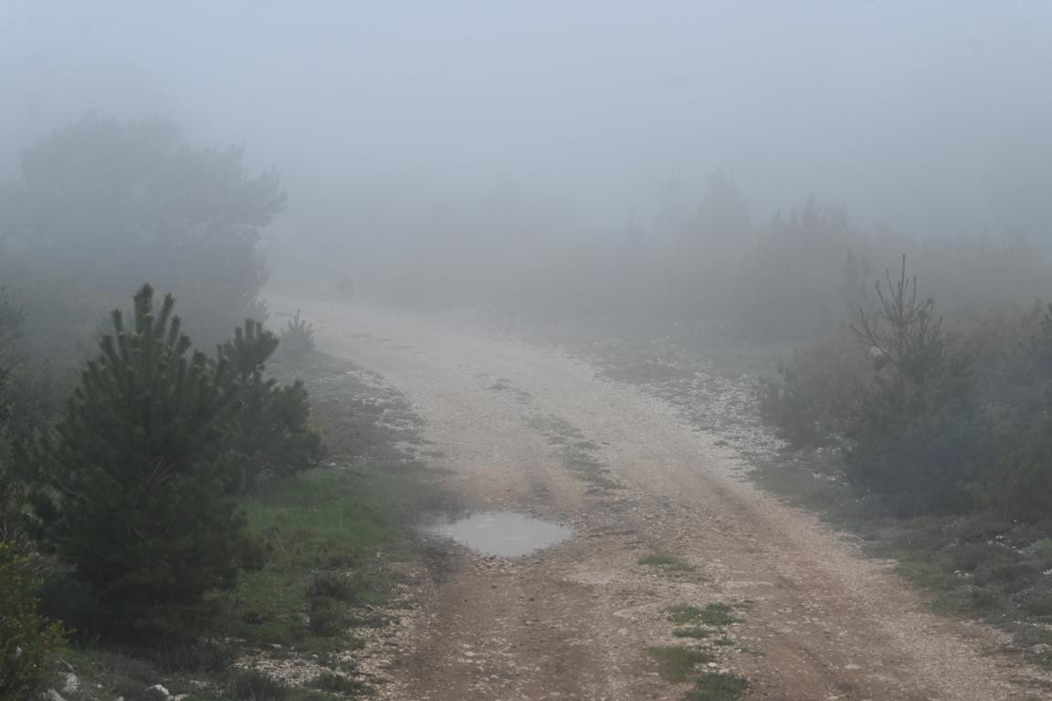 Klicke auf die Grafik für eine vergrößerte Ansicht

Name: DSC_1237.jpg
Ansichten: 48
Größe: 95,6 KB
ID: 3352704