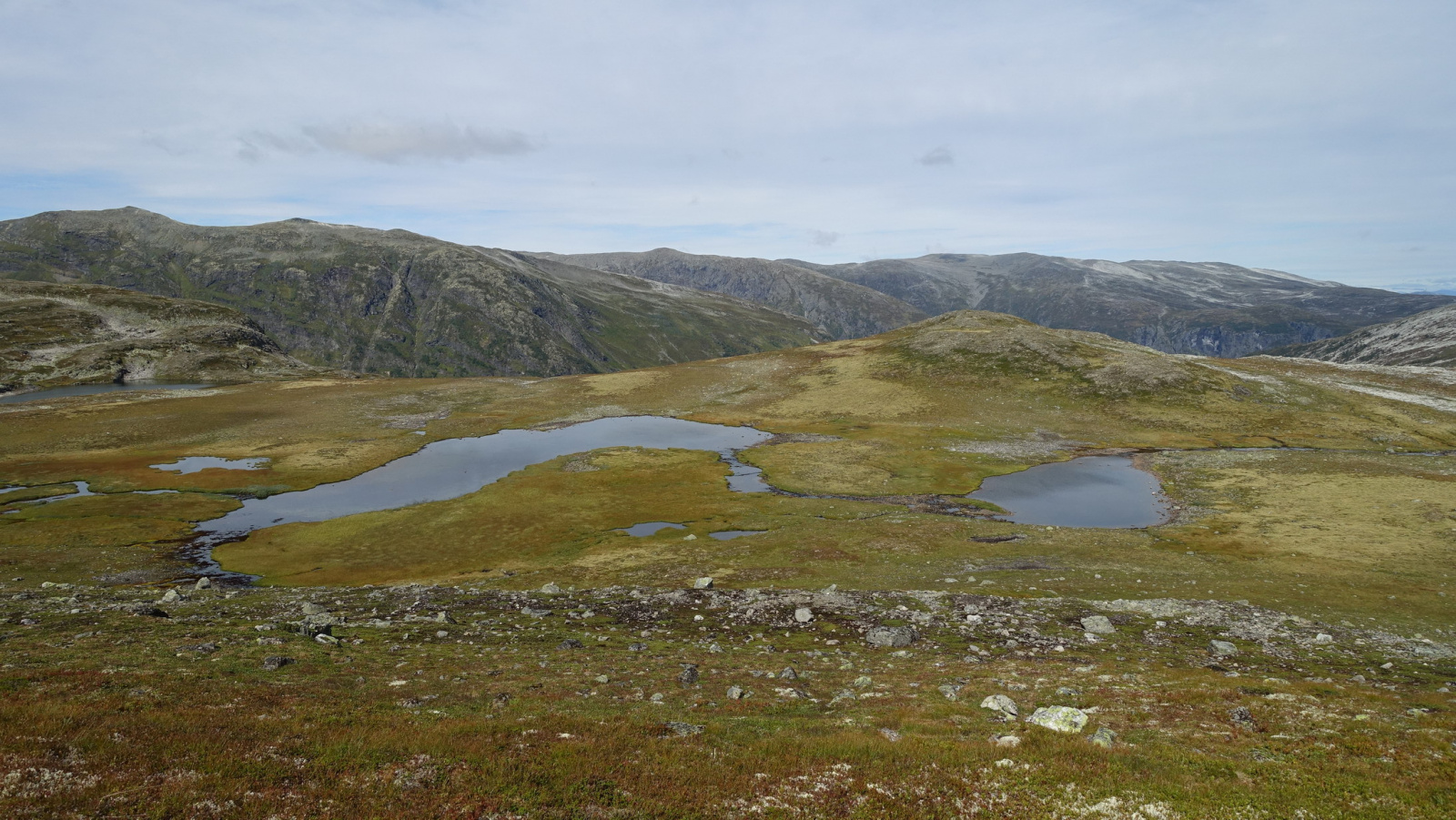 Klicke auf die Grafik für eine vergrößerte Ansicht

Name: 2025 Norge 0590.jpg
Ansichten: 390
Größe: 679,7 KB
ID: 3352779