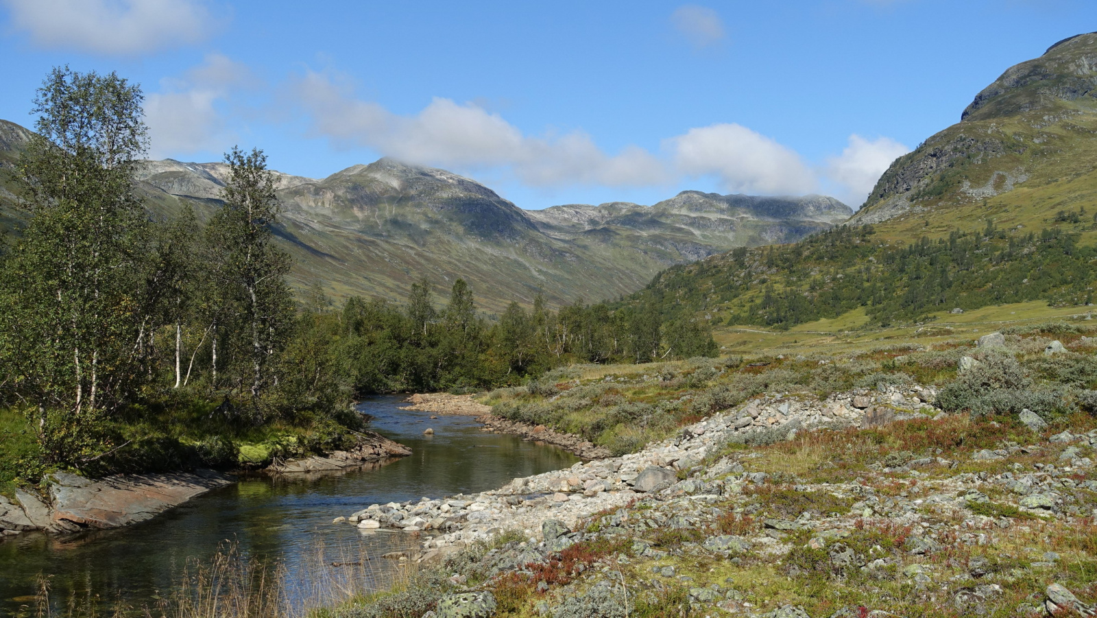 Klicke auf die Grafik für eine vergrößerte Ansicht

Name: 2025 Norge 0621.jpg
Ansichten: 384
Größe: 844,0 KB
ID: 3352817