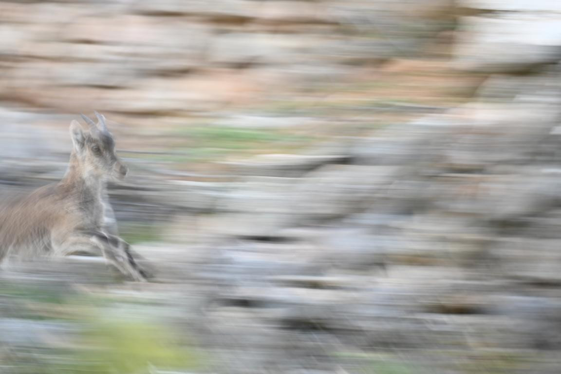 Klicke auf die Grafik für eine vergrößerte Ansicht

Name: DSC_9833.jpg
Ansichten: 0
Größe: 107,5 KB
ID: 3352860