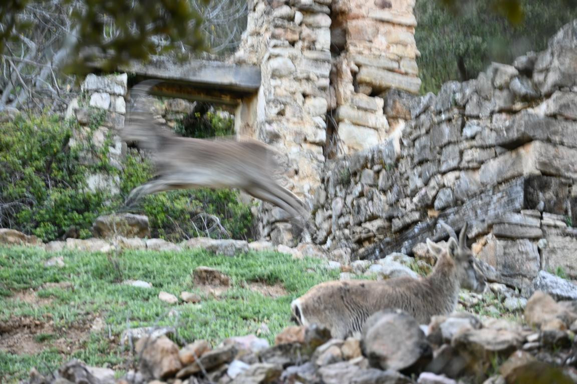 Klicke auf die Grafik für eine vergrößerte Ansicht

Name: DSC_9836.jpg
Ansichten: 0
Größe: 252,1 KB
ID: 3352861