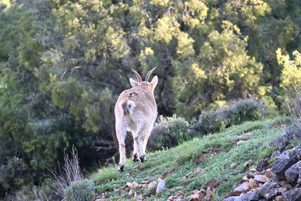 Klicke auf die Grafik für eine vergrößerte Ansicht

Name: DSC_9847.jpg
Ansichten: 0
Größe: 289,4 KB
ID: 3352862