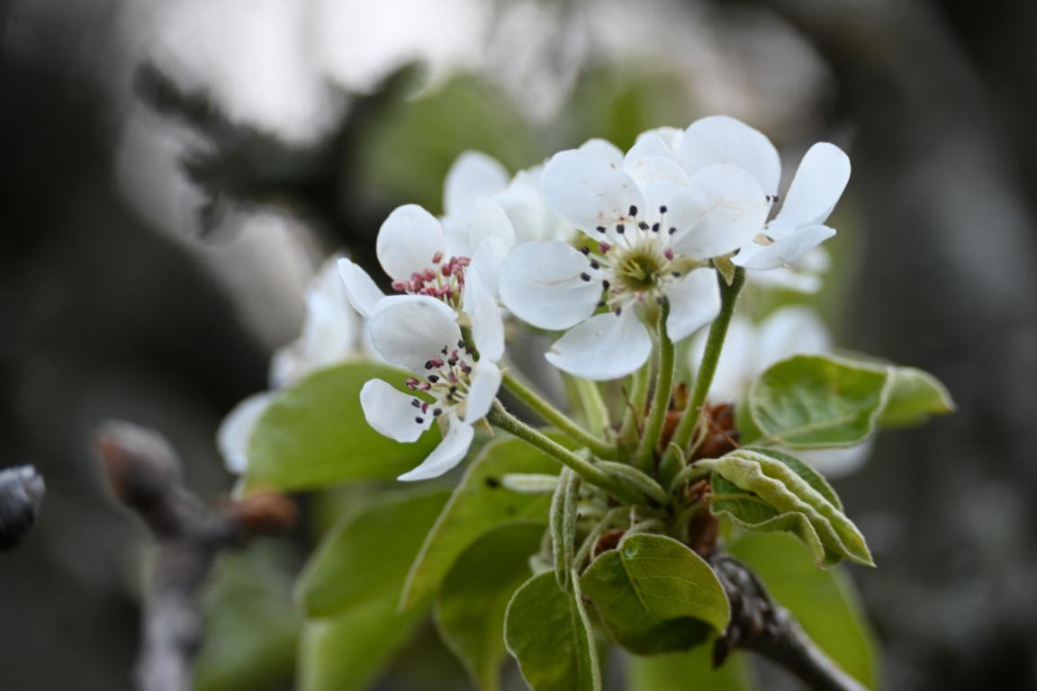 Klicke auf die Grafik für eine vergrößerte Ansicht

Name: DSC_9867.jpg
Ansichten: 0
Größe: 105,6 KB
ID: 3352863