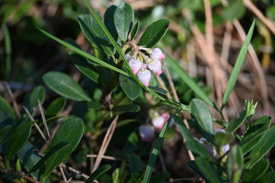 Klicke auf die Grafik für eine vergrößerte Ansicht

Name: DSC_9872.jpg
Ansichten: 0
Größe: 167,0 KB
ID: 3352864