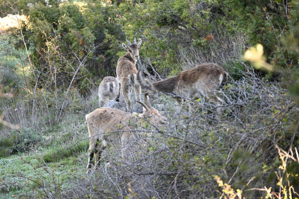 Klicke auf die Grafik für eine vergrößerte Ansicht

Name: DSC_9874.jpg
Ansichten: 0
Größe: 347,4 KB
ID: 3352865