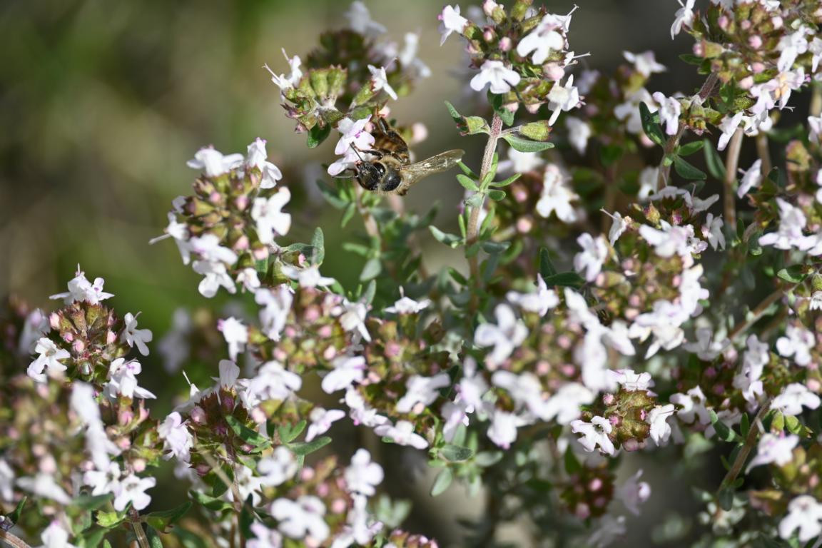 Klicke auf die Grafik für eine vergrößerte Ansicht

Name: DSC_9894.jpg
Ansichten: 0
Größe: 219,0 KB
ID: 3352868