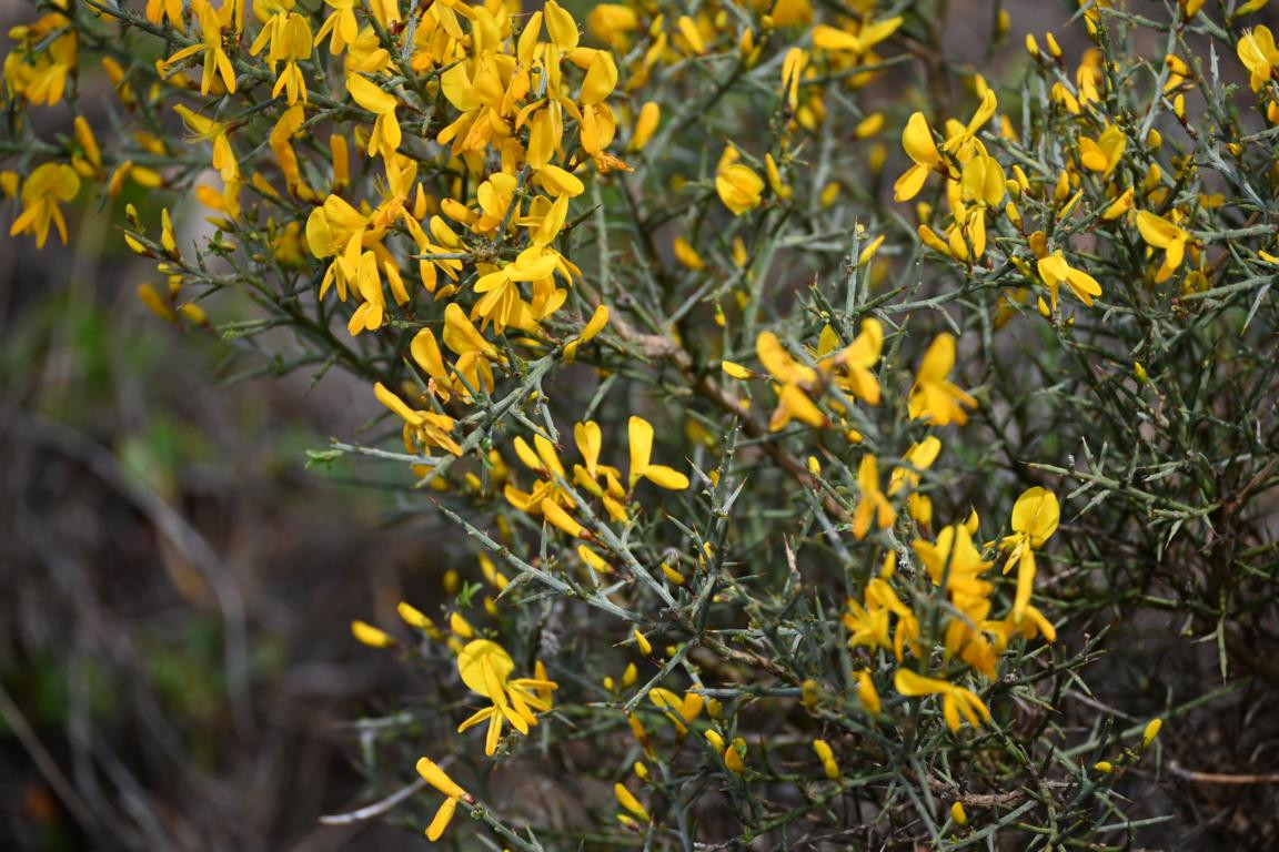 Klicke auf die Grafik für eine vergrößerte Ansicht

Name: DSC_9897.jpg
Ansichten: 0
Größe: 278,5 KB
ID: 3352869