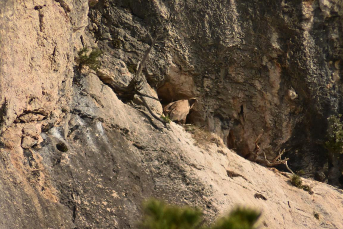 Klicke auf die Grafik für eine vergrößerte Ansicht

Name: DSC_9933.jpg
Ansichten: 0
Größe: 263,7 KB
ID: 3352870