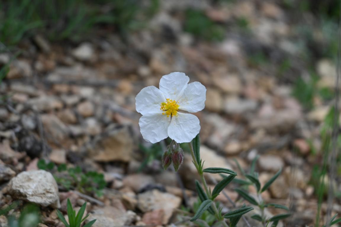 Klicke auf die Grafik für eine vergrößerte Ansicht

Name: DSC_9962.jpg
Ansichten: 0
Größe: 123,4 KB
ID: 3352871