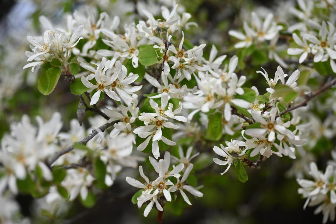 Klicke auf die Grafik für eine vergrößerte Ansicht

Name: DSC_0004.jpg
Ansichten: 0
Größe: 185,9 KB
ID: 3352874