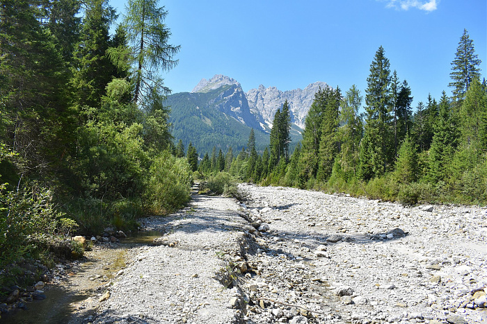 Klicke auf die Grafik für eine vergrößerte Ansicht  Name: DSC_0890.jpg Ansichten: 0 Größe: 1,20 MB ID: 3352972