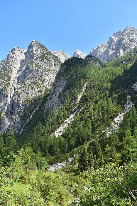 Klicke auf die Grafik für eine vergrößerte Ansicht  Name: DSC_0897.jpg Ansichten: 0 Größe: 804,1 KB ID: 3352973