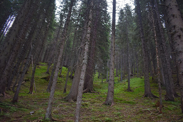 Klicke auf die Grafik für eine vergrößerte Ansicht  Name: DSC_0930.jpg Ansichten: 0 Größe: 1,00 MB ID: 3352974