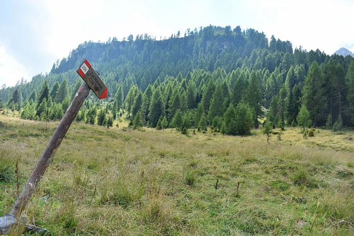 Klicke auf die Grafik für eine vergrößerte Ansicht  Name: DSC_0933.jpg Ansichten: 0 Größe: 1.019,4 KB ID: 3352976