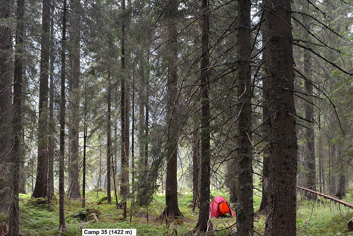 Klicke auf die Grafik für eine vergrößerte Ansicht  Name: DSC_0920.jpg Ansichten: 0 Größe: 1,20 MB ID: 3352977