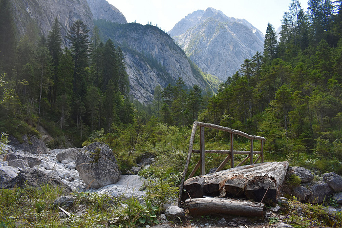 Klicke auf die Grafik für eine vergrößerte Ansicht  Name: DSC_0893.jpg Ansichten: 0 Größe: 1,03 MB ID: 3352979