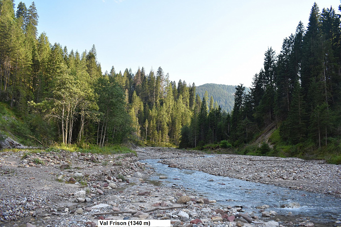 Klicke auf die Grafik für eine vergrößerte Ansicht  Name: DSC_0917.jpg Ansichten: 0 Größe: 978,1 KB ID: 3352981