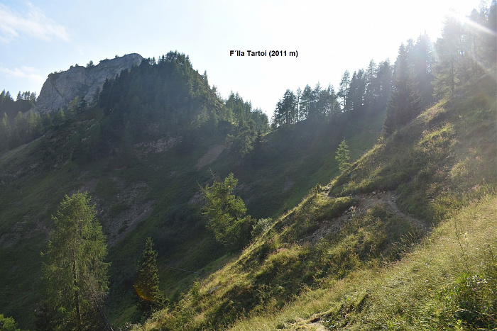 Klicke auf die Grafik für eine vergrößerte Ansicht  Name: DSC_0961.jpg Ansichten: 0 Größe: 733,2 KB ID: 3352990