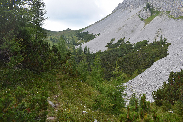 Klicke auf die Grafik für eine vergrößerte Ansicht  Name: DSC_0950.jpg Ansichten: 0 Größe: 1.013,9 KB ID: 3352992