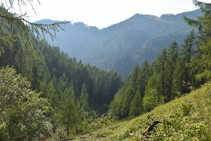 Klicke auf die Grafik für eine vergrößerte Ansicht  Name: DSC_0969.jpg Ansichten: 0 Größe: 1.016,1 KB ID: 3352993