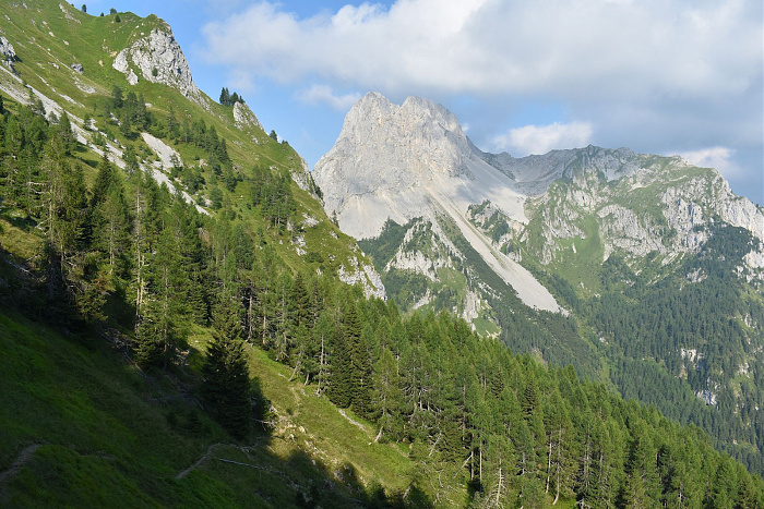 Klicke auf die Grafik für eine vergrößerte Ansicht  Name: DSC_0964.jpg Ansichten: 0 Größe: 937,3 KB ID: 3352994