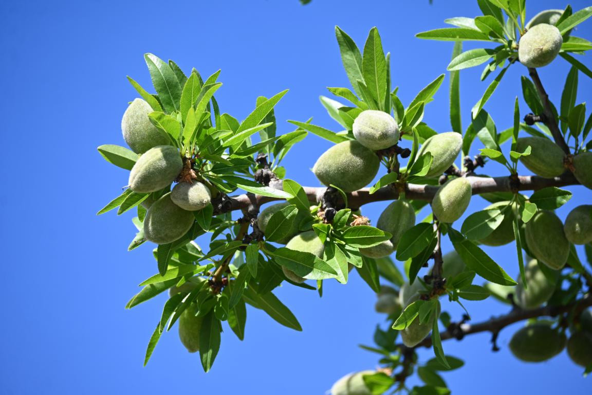 Klicke auf die Grafik für eine vergrößerte Ansicht

Name: DSC_0185.jpg
Ansichten: 270
Größe: 192,6 KB
ID: 3353015