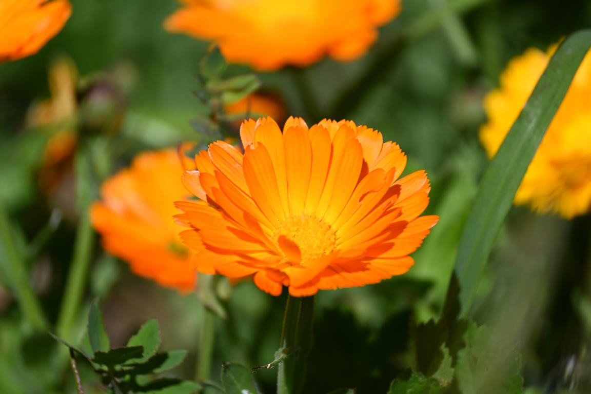 Klicke auf die Grafik für eine vergrößerte Ansicht

Name: DSC_0198.jpg
Ansichten: 269
Größe: 125,3 KB
ID: 3353017