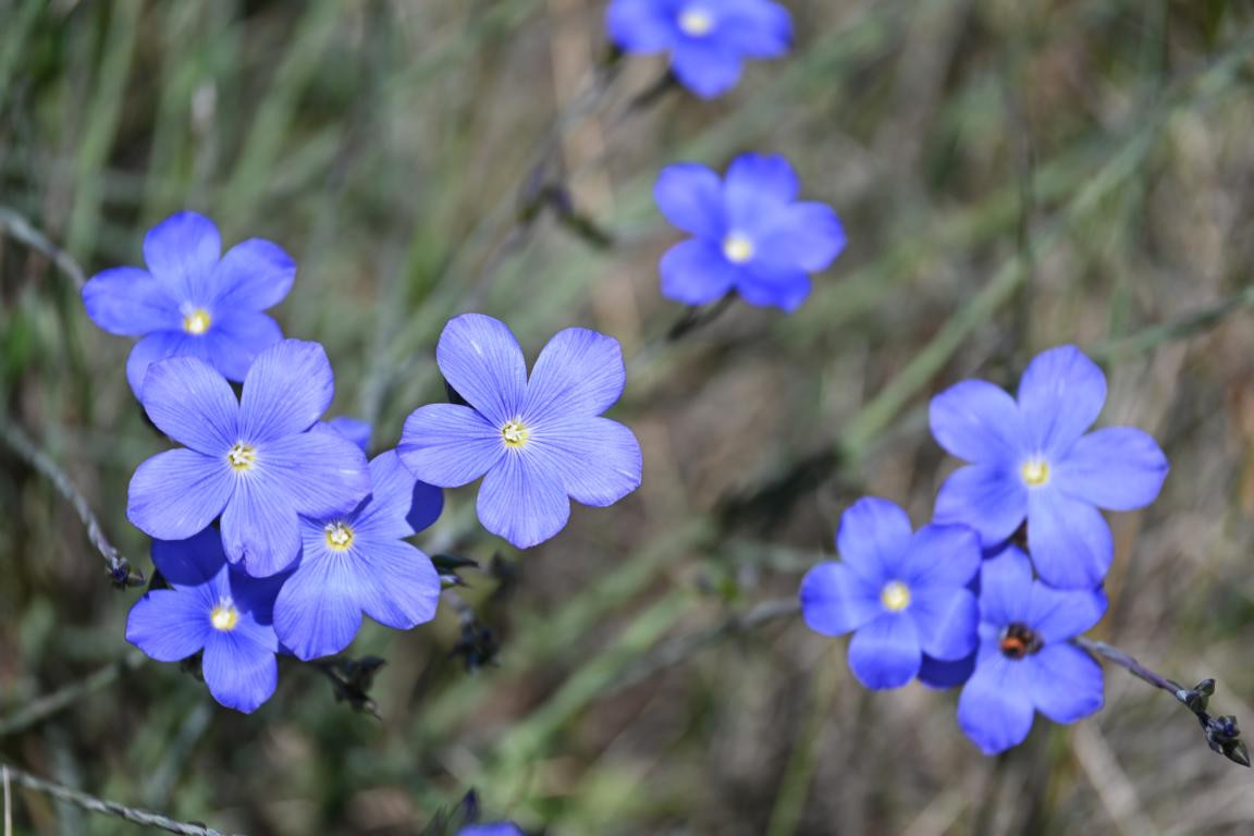 Klicke auf die Grafik für eine vergrößerte Ansicht

Name: DSC_0204.jpg
Ansichten: 266
Größe: 134,5 KB
ID: 3353018