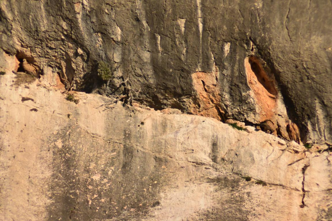 Klicke auf die Grafik für eine vergrößerte Ansicht

Name: DSC_0247.jpg
Ansichten: 274
Größe: 284,2 KB
ID: 3353019