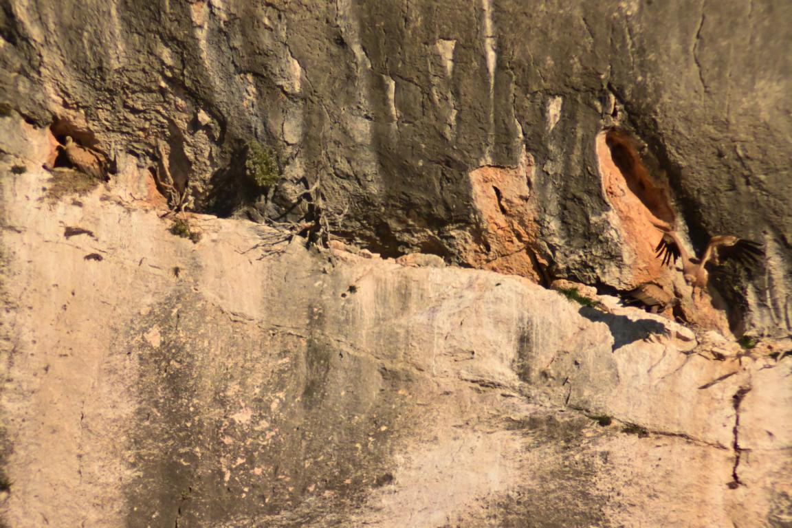 Klicke auf die Grafik für eine vergrößerte Ansicht

Name: DSC_0248.jpg
Ansichten: 269
Größe: 283,6 KB
ID: 3353020