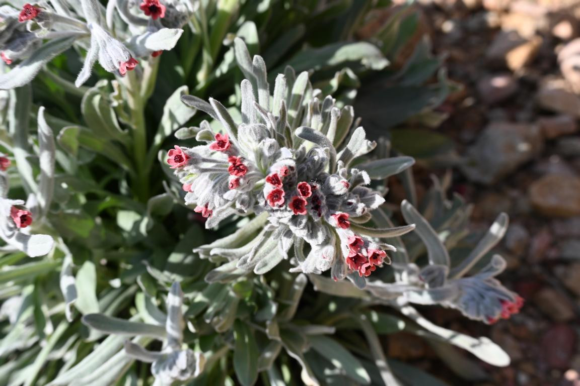 Klicke auf die Grafik für eine vergrößerte Ansicht

Name: DSC_0256.jpg
Ansichten: 273
Größe: 180,8 KB
ID: 3353021