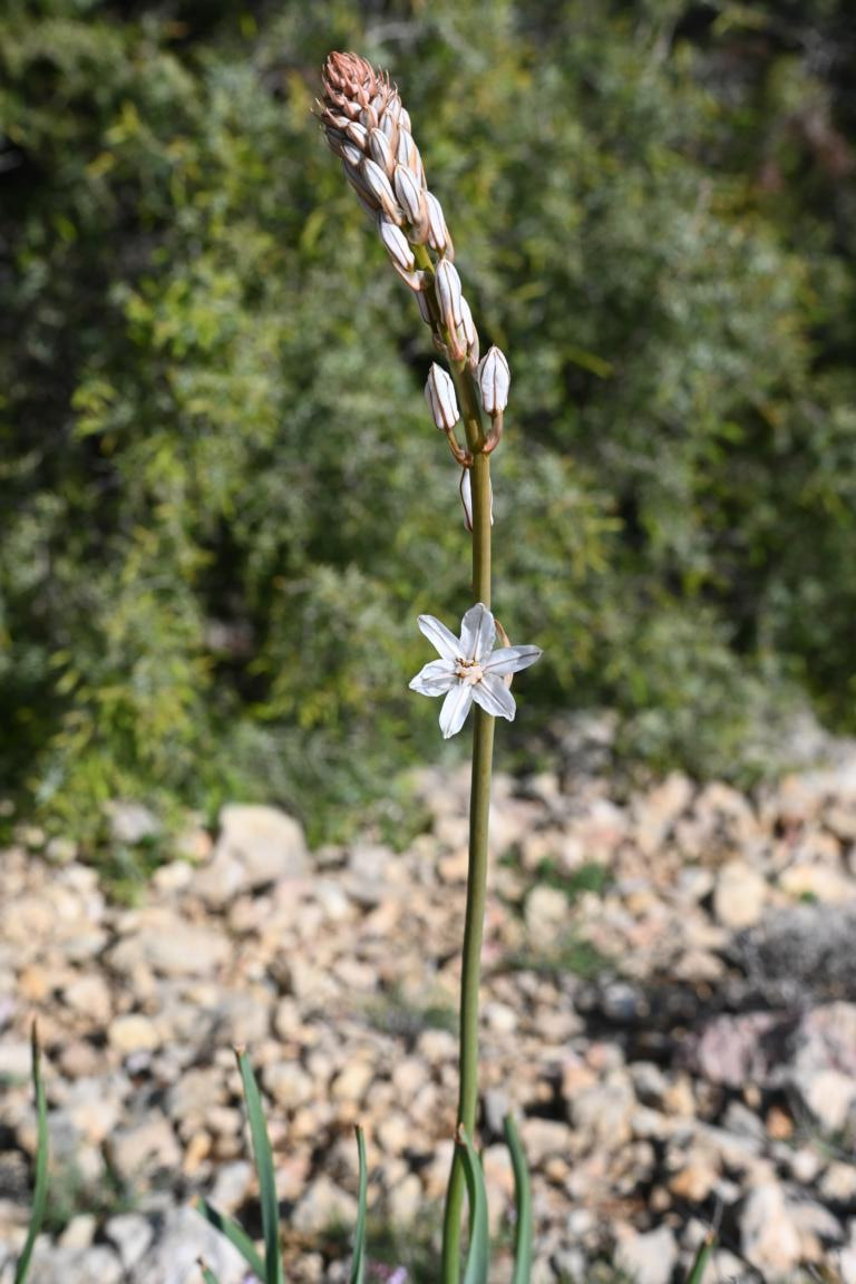 Klicke auf die Grafik für eine vergrößerte Ansicht

Name: DSC_0253.jpg
Ansichten: 270
Größe: 176,5 KB
ID: 3353022