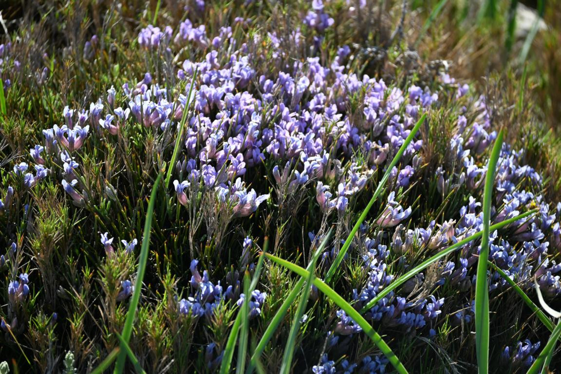 Klicke auf die Grafik für eine vergrößerte Ansicht

Name: DSC_0261.jpg
Ansichten: 269
Größe: 375,1 KB
ID: 3353023