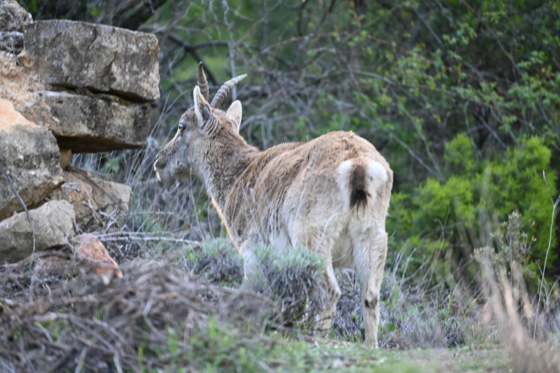 Klicke auf die Grafik für eine vergrößerte Ansicht

Name: DSC_0464.jpg
Ansichten: 250
Größe: 208,4 KB
ID: 3353125