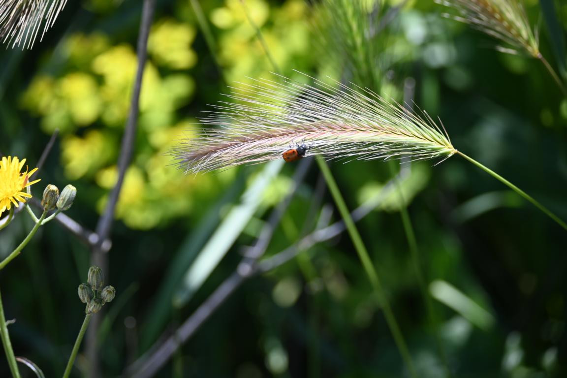 Klicke auf die Grafik für eine vergrößerte Ansicht

Name: DSC_0516.jpg
Ansichten: 236
Größe: 151,3 KB
ID: 3353127