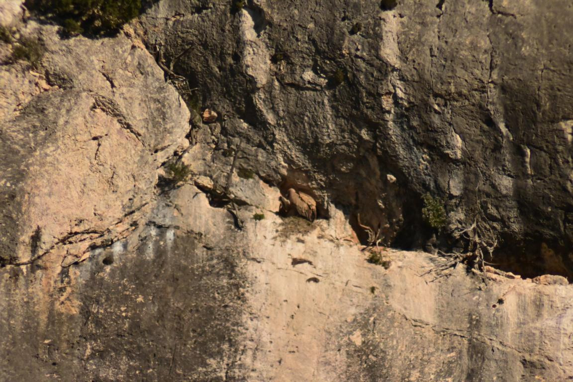 Klicke auf die Grafik für eine vergrößerte Ansicht

Name: DSC_0302.jpg
Ansichten: 239
Größe: 282,9 KB
ID: 3353131