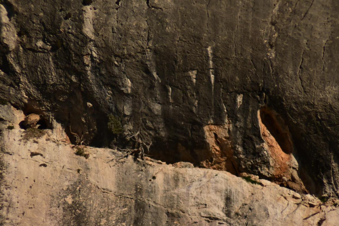 Klicke auf die Grafik für eine vergrößerte Ansicht

Name: DSC_0313.jpg
Ansichten: 237
Größe: 233,4 KB
ID: 3353132