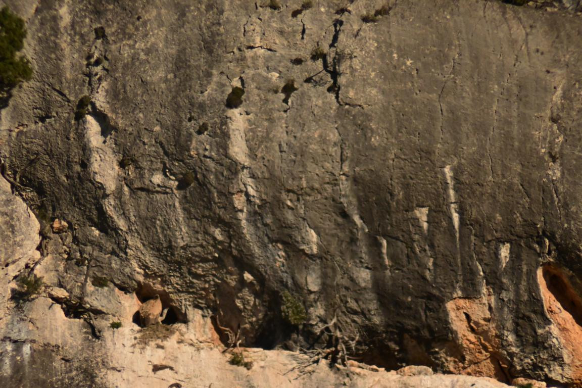 Klicke auf die Grafik für eine vergrößerte Ansicht

Name: DSC_0338.jpg
Ansichten: 239
Größe: 268,3 KB
ID: 3353133