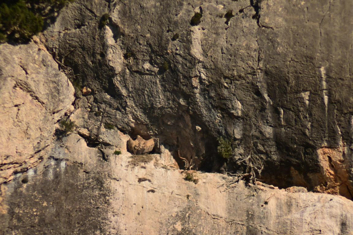 Klicke auf die Grafik für eine vergrößerte Ansicht

Name: DSC_0540.jpg
Ansichten: 237
Größe: 286,1 KB
ID: 3353134